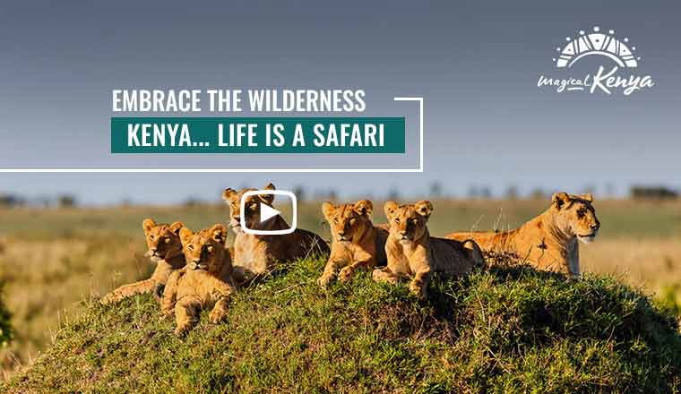 Kenya Tourism