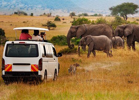 Masai Mara Safari Experience and Beach Stay