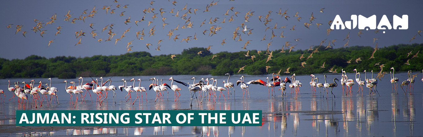 Ajman Tourism