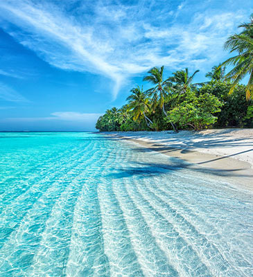 Indian Ocean Tours