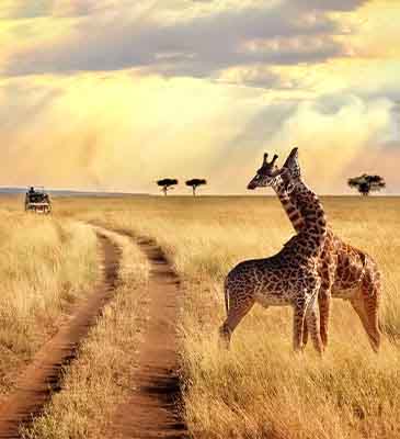 Kenya