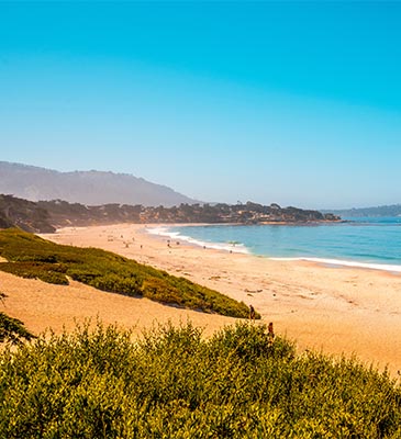 Monterey & Carmel