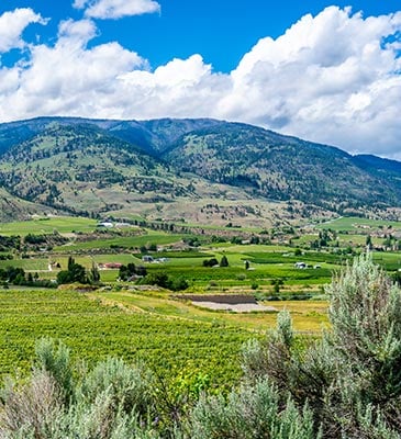 Napa Valley