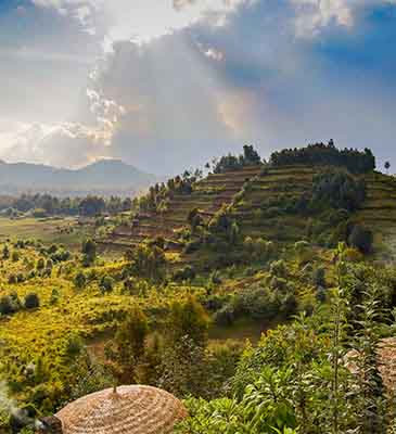Rwanda Tours