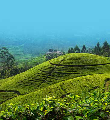 Sri Lanka