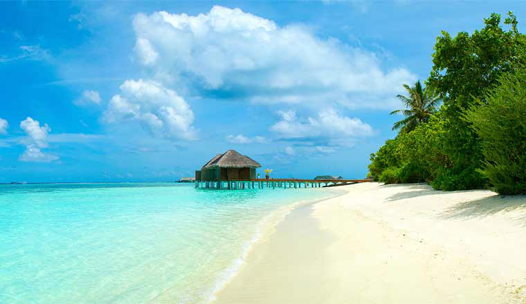 Beach Holidays