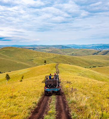 Safari Holidays