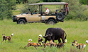 Chobe National Park