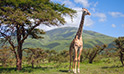Taita Hills