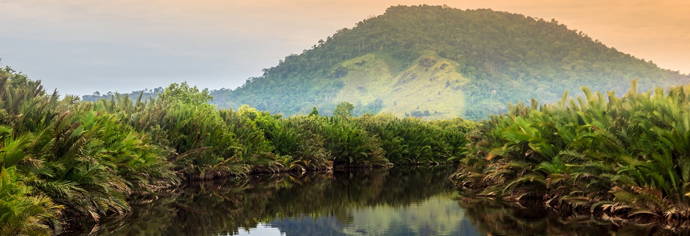 Borneo Wildlife Package