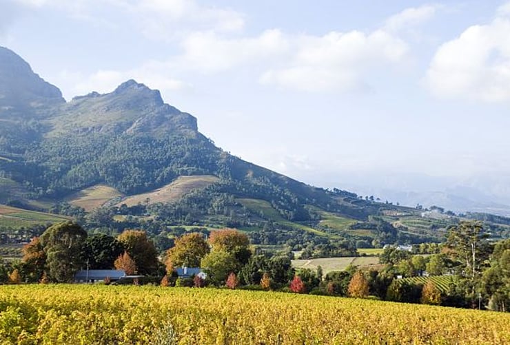 Stellenbosch