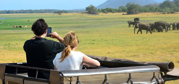 Tailored Safari Holidays