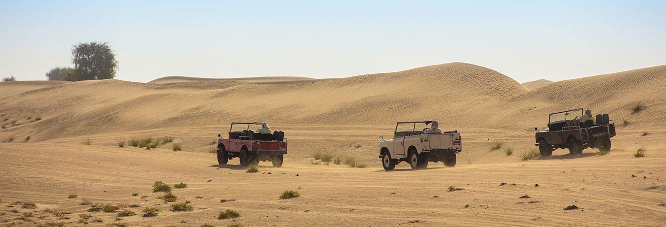 Dune Safari with bbq dinner