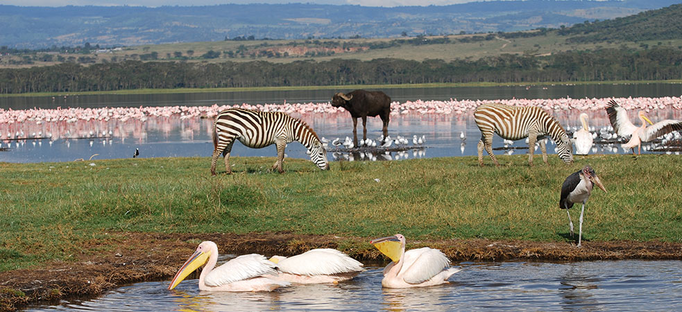 Governors' Sky Safari, Kenya