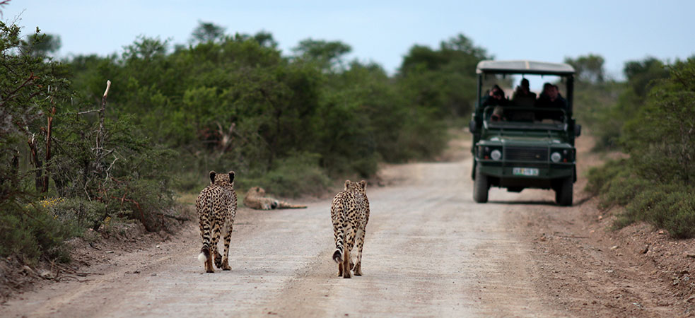 Governors' Sky Safari, Kenya