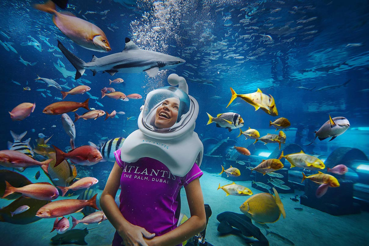 Marine Animal Adventures