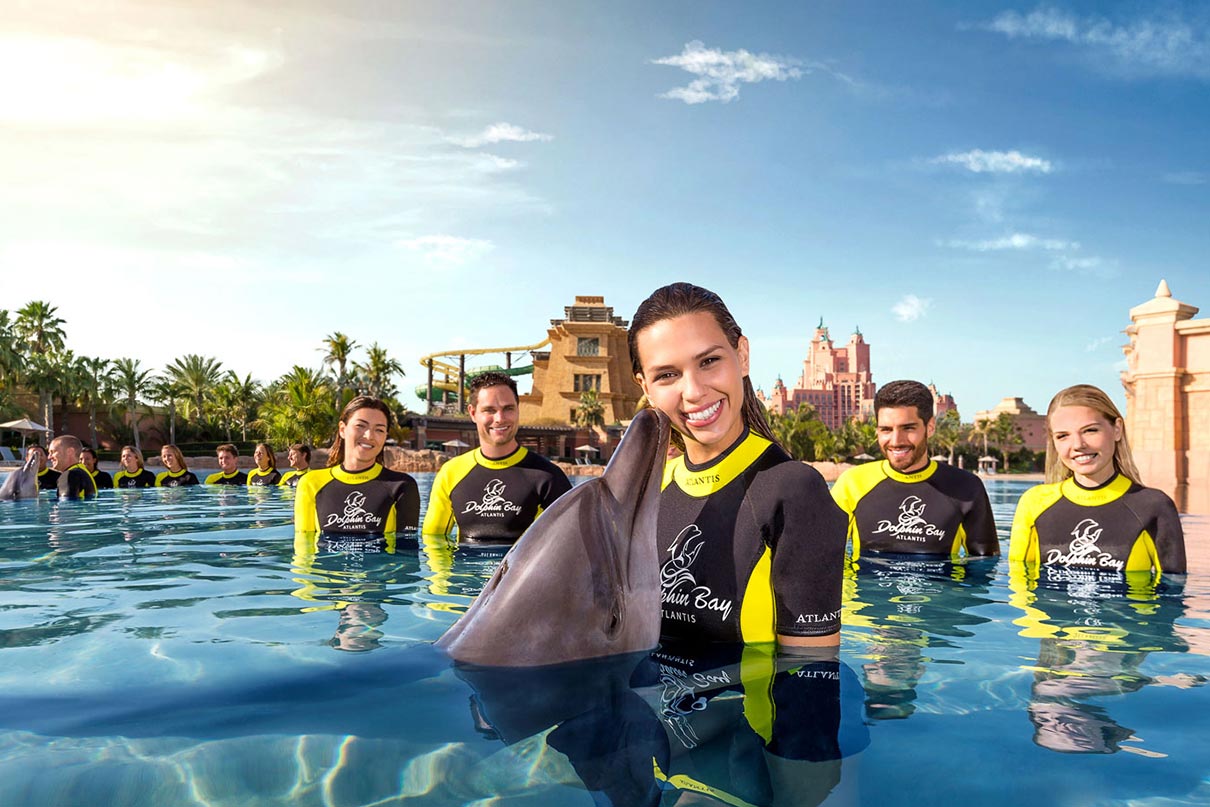 Marine Animal Adventures