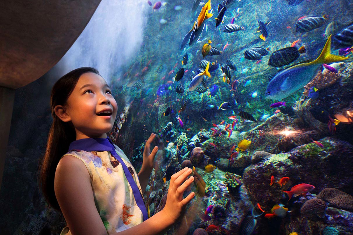 The Lost Chambers Aquarium