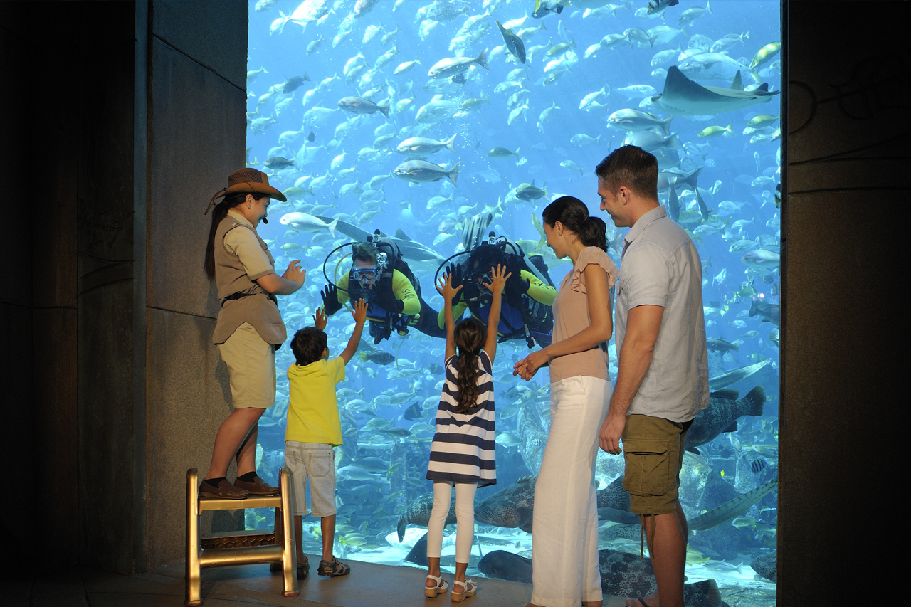 The Lost Chambers Aquarium