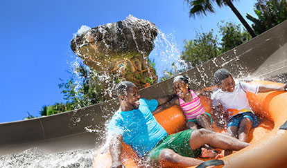 Disney's Typhoon Lagoon Water Park